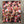 Load image into Gallery viewer, 007 - 17 Headbands - Ealanta Art Wear - Painted Door on Main