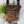 Load image into Gallery viewer, 042 - 04 Cellmate Bag - Sheila's Satchels - Painted Door on Main