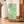 Load image into Gallery viewer, 851-03 Salads Duo Box - Food Crayon