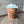 Load image into Gallery viewer, 096 - 03 Plushy Plants - Willing Hands Crochet - Painted Door on Main