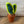 Load image into Gallery viewer, 096 - 03 Plushy Plants - Willing Hands Crochet - Painted Door on Main