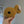 Load image into Gallery viewer, 096 - 04 Characters - Willing Hands Crochet - Painted Door on Main
