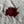Load image into Gallery viewer, 096 - 06 Water Creatures - Willing Hands Crochet - Painted Door on Main