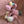 Load image into Gallery viewer, 096 - 12 Forest Creatures - Willing Hands Crochet - Painted Door on Main