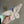 Load image into Gallery viewer, 096 - 12 Forest Creatures - Willing Hands Crochet - Painted Door on Main