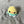 Load image into Gallery viewer, 096 - 12 Forest Creatures - Willing Hands Crochet - Painted Door on Main