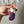 Load image into Gallery viewer, 096 - 15 Cutie Keychains - Willing Hands Crochet - Painted Door on Main