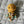 Load image into Gallery viewer, 096 - 19 Jellyfish - Willing Hands Crochet - Painted Door on Main