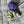 Load image into Gallery viewer, 096 - 19 Jellyfish - Willing Hands Crochet - Painted Door on Main