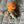 Load image into Gallery viewer, 096 - 19 Jellyfish - Willing Hands Crochet - Painted Door on Main