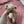 Load image into Gallery viewer, 096 - 20 Farm Creatures - Willing Hands Crochet - Painted Door on Main