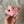 Load image into Gallery viewer, 096 - 20 Farm Creatures - Willing Hands Crochet - Painted Door on Main