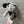 Load image into Gallery viewer, 096 - 20 Farm Creatures - Willing Hands Crochet - Painted Door on Main