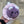 Load image into Gallery viewer, 096 - 21 Loaf Cats - Willing Hands Crochet - Painted Door on Main