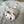 Load image into Gallery viewer, 096 - 21 Loaf Cats - Willing Hands Crochet - Painted Door on Main