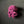 Load image into Gallery viewer, 096 - 22 Jelly Pops - Willing Hands Crochet - Painted Door on Main