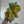 Load image into Gallery viewer, 096 - 23 Plushy Dinos - Willing Hands Crochet - Painted Door on Main