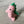 Load image into Gallery viewer, 096 - 23 Plushy Dinos - Willing Hands Crochet - Painted Door on Main