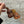 Load image into Gallery viewer, 096 - 24 Emotional Support Animals - Willing Hands Crochet - Painted Door on Main