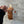 Load image into Gallery viewer, 096 - 24 Emotional Support Animals - Willing Hands Crochet - Painted Door on Main