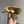 Load image into Gallery viewer, 096 - 30 Flower Shell Turtles - Willing Hands Crochet - Painted Door on Main