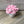Load image into Gallery viewer, 096 - 41 Potted Succulents - Willing Hands Crochet - Painted Door on Main