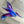 Load image into Gallery viewer, 119 - 07 Humming Bird - Just art by Mark - Painted Door on Main