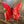 Load image into Gallery viewer, 119 - 12 Small Butterfly - Just art by Mark - Painted Door on Main
