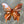 Load image into Gallery viewer, 119 - 13 Medium Butterfly - Just art by Mark - Painted Door on Main