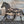 Load image into Gallery viewer, 120 - 01 Carved Animal Art - KWoodCarve - Painted Door on Main