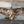 Load image into Gallery viewer, 120 - 01 Carved Animal Art - KWoodCarve - Painted Door on Main