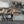 Load image into Gallery viewer, 120 - 01 Carved Animal Art - KWoodCarve - Painted Door on Main