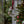 Load image into Gallery viewer, 127 - 10 Christmas Ornaments - Gaia's Glasswear - Painted Door on Main