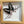 Load image into Gallery viewer, 136 - 01 Butterfly Specimen Art - Bespoke YEG - Painted Door on Main