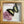 Load image into Gallery viewer, 136 - 01 Butterfly Specimen Art - Bespoke YEG - Painted Door on Main