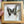 Load image into Gallery viewer, 136 - 01 Butterfly Specimen Art - Bespoke YEG - Painted Door on Main