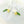 Load image into Gallery viewer, 139 - 03 Micro Crochet Earrings - HG Craft - Painted Door on Main