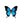 Load image into Gallery viewer, 147 - 06 Single Real Wing Display - Monarca Jewelry & Decor - Painted Door on Main