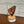 Load image into Gallery viewer, 147 - 06 Single Real Wing Display - Monarca Jewelry & Decor - Painted Door on Main