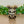 Load image into Gallery viewer, 151 - 01 Acrylic & Wood Night Lights - Noodle Art - Painted Door on Main
