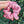 Load image into Gallery viewer, 155 - 03 Satin Scrunchies - Alayna B & Co. - Painted Door on Main