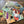 Load image into Gallery viewer, 156 - 08 Tarot Card Bookmarks - Gog + Magog - Painted Door on Main
