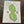 Load image into Gallery viewer, 164 - 01 Art Cards by Saylor Jordan - Painted Door on Main