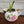 Load image into Gallery viewer, 007-80 Potted Plants - Ladybug Blossoms