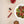 Load image into Gallery viewer, 851-03 Salads Duo Box - Food Crayon