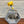 Load image into Gallery viewer, 820 - 08 Hexagon Propagation Station - Larcher Woods & Crafts - Painted Door on Main