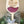 Load image into Gallery viewer, 856 - 84 Wine Bottle Charm Collection - Behind the Door Creations - Painted Door on Main