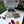Load image into Gallery viewer, 859 - 02 Seed Bombs DIY Kits - Fuschia Designs Shop - Painted Door on Main