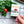 Load image into Gallery viewer, 859 - 03 Heirloom Tomato Starter Kit - Fuschia Designs Shop - Painted Door on Main