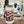 Load image into Gallery viewer, 867 - 01 Glass Can Tumblers - Brides & Babes - Painted Door on Main